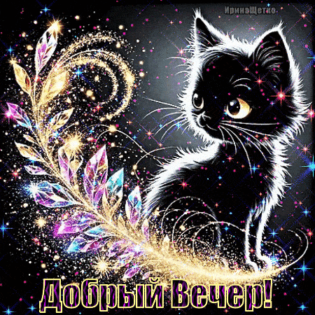 Открытка «Пожелание»: Добрый вечер: милый черный котик и волшебство. Тэги: настроение, позитивный, классный, кот…