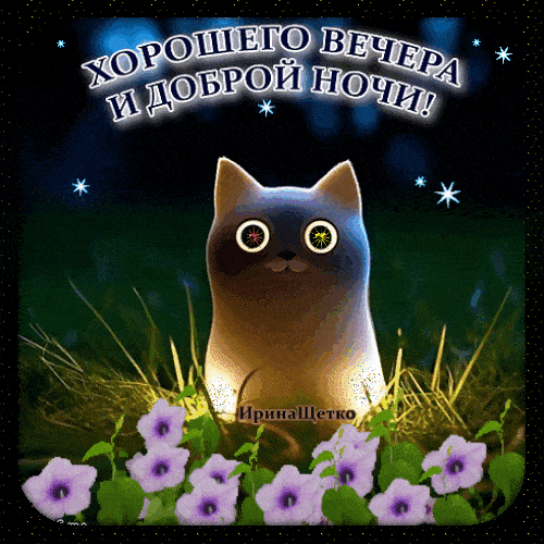 Открытка «Доброй ночи»: Добрый вечер и доброй ночи: милый кот в цветах. Тэги: магический, Добрый вечер и пожелания…