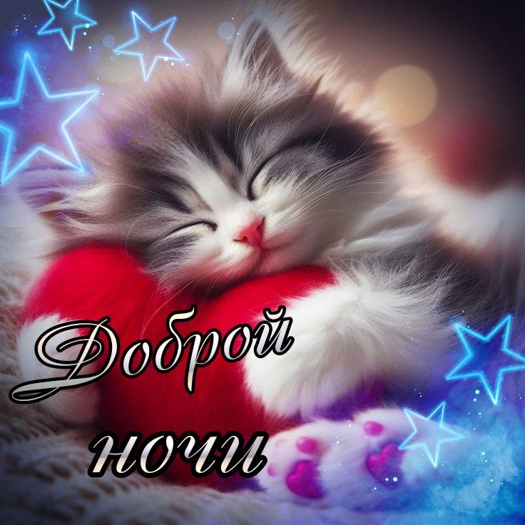 Открытка «Доброй ночи»: Доброй ночи: Милый котенок на красном сердце. Тэги: Спокойной ночи, Спокойной ночи, с пожелан…