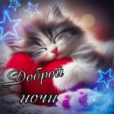 Открытка «Доброй ночи»: Доброй ночи: Милый котенок на красном сердце. Тэги: Спокойной ночи, Спокойной ночи, с пожелан…