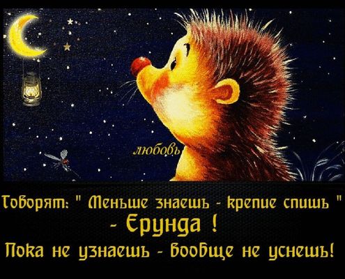 Открытка «Доброй ночи»: Спокойной ночи: прикольный ежик и мудрая цитата. Тэги: Спокойной ночи, пожелание, смешной…