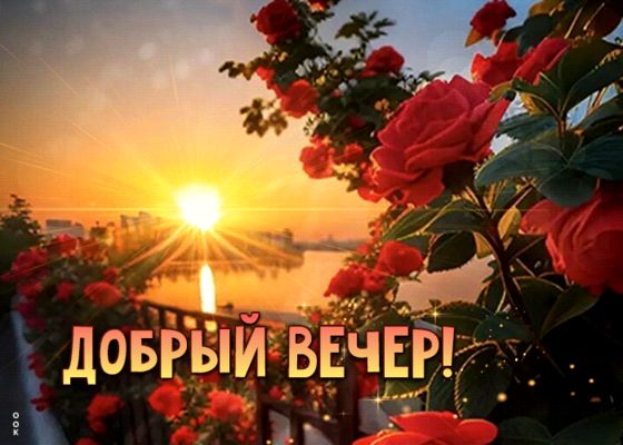 Открытка «Добрый вечер и пожелания»: Добрый вечер: Красивые розы на фоне заката у воды. Тэги: Добрый вечер красивые…