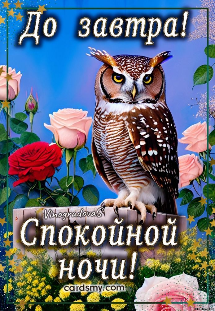 Открытка «Доброй ночи»: Открытка Доброй ночи с мудрой совой и нежными розами. Тэги: пожелание, радость, надпись…