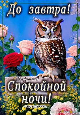 Открытка «Доброй ночи»: Открытка Доброй ночи с мудрой совой и нежными розами.
