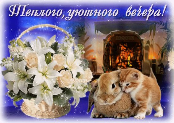 Открытка «Добрый вечер и пожелания»: Добрый вечер: «Тепла и уюта» с котенком и кроликом. Тэги: Доброго вечера и хорош…
