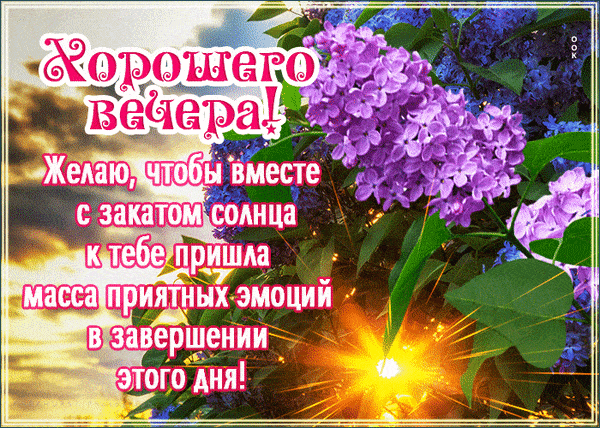 Открытка «Добрый вечер и пожелания»: Добрый вечер: «Цветущая сирень на закате». Тэги: Добрый вечер красивые, Доброго…