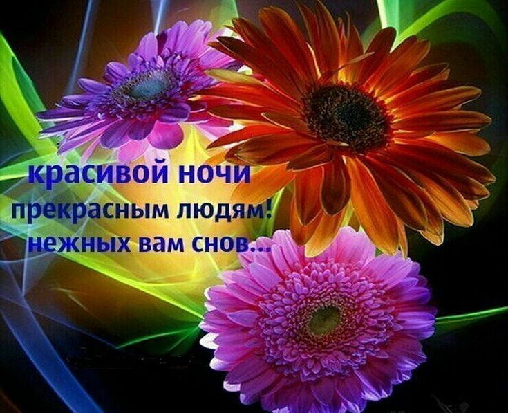 Открытка «Доброй ночи»: Доброй ночи: красивые цветы и нежные сны.