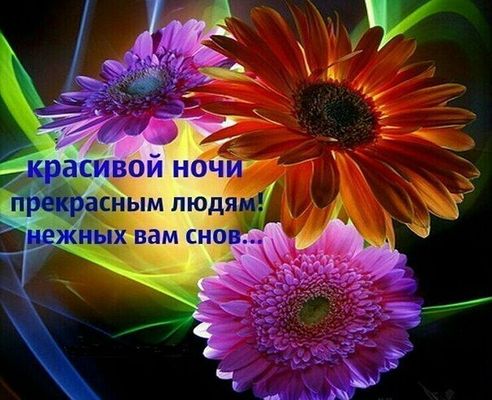 Открытка «Доброй ночи»: Доброй ночи: красивые цветы и нежные сны.