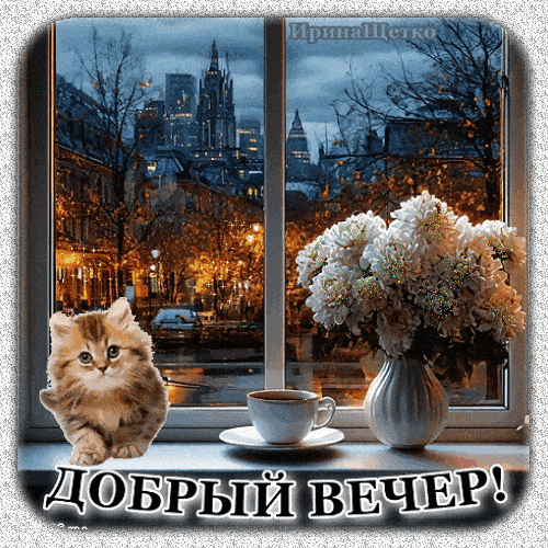 Открытка «Добрый вечер и пожелания»: Добрый вечер: уютный котик и цветы на окне. Тэги: Доброго вечера и хорошего наст…