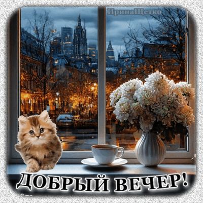 Открытка «Добрый вечер и пожелания»: Добрый вечер: уютный котик и цветы на окне. Тэги: Доброго вечера и хорошего наст…