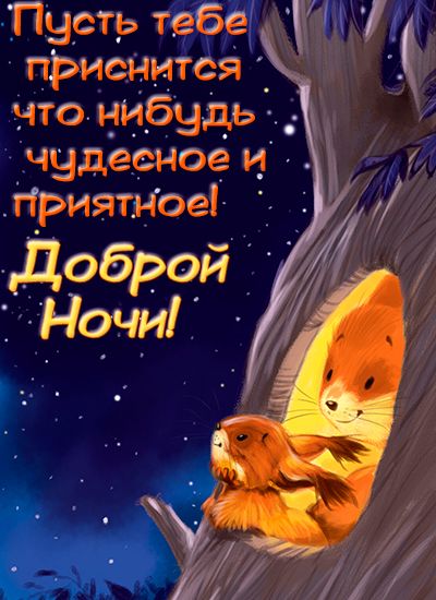 Открытка «Доброй ночи»: Доброй ночи: чудесное пожелание и милые белки. Тэги: Спокойной ночи, Спокойной ночи, с пожела…