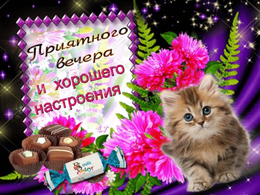 Открытка «Добрый вечер и пожелания»: Добрый вечер и хорошего настроения с милым котенком. Тэги: Доброго вечера и хоро…