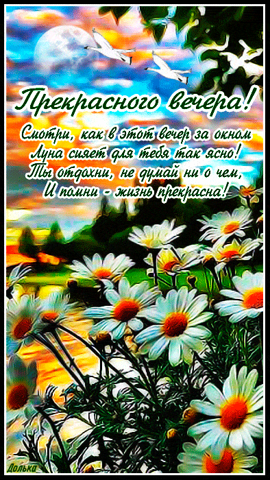 Открытка «Пожелание»: Открытка «Прекрасного вечера» с ромашками и луной. Тэги: радость, рисунок, птица, жизнь, лето…