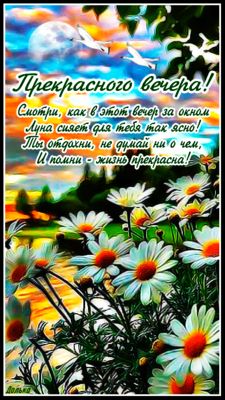 Открытка «Пожелание»: Открытка «Прекрасного вечера» с ромашками и луной. Тэги: радость, рисунок, птица, жизнь, лето…