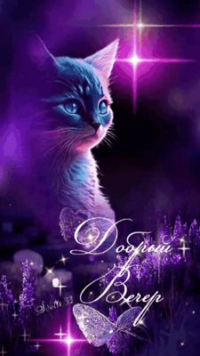Открытка «Добрый вечер и пожелания»: Добрый вечер: Волшебный сиреневый кот с бабочкой. Тэги: Добрый вечер красивые…