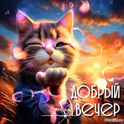 Открытка «Добрый вечер и пожелания»: Добрый вечер: «Воздушный поцелуй от котика». Тэги: Добрый вечер красивые, Прикол…