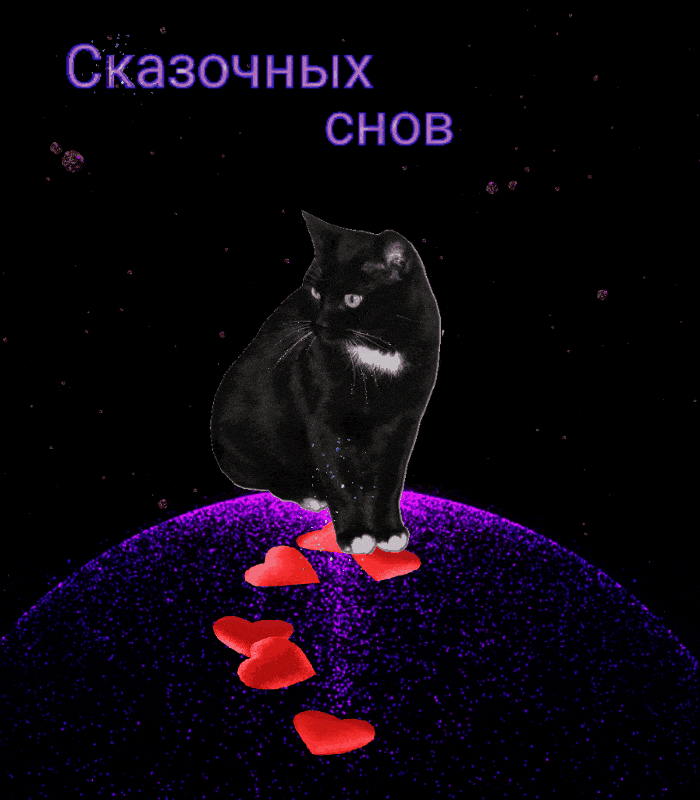 Открытка «Доброй ночи»: Спокойной ночи: черный кот и сказочные сны. Тэги: Спокойной ночи, пожелание, кот, надпись…