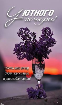Открытка «Проза»: Добрый вечер: уютная открытка с букетом сирени. Тэги: Добрый вечер и пожелания, Добрый вечер красив…