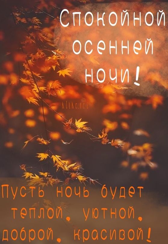 Открытка «Доброй ночи»: Доброй ночи: уютная осенняя открытка с листьями. Тэги: Спокойной ночи, Спокойной ночи, красив…