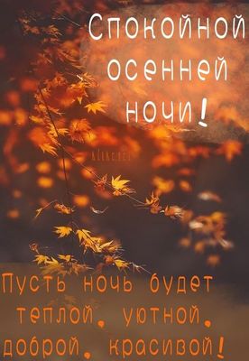 Открытка «Доброй ночи»: Доброй ночи: уютная осенняя открытка с листьями. Тэги: Спокойной ночи, Спокойной ночи, красив…