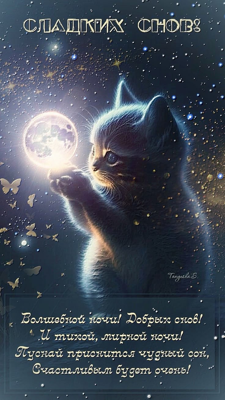 Открытка «Доброй ночи»: Спокойной ночи: Волшебный котенок с луной. Тэги: Спокойной ночи, Спокойной ночи, красивые…