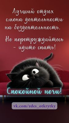 Открытка «Доброй ночи»: Спокойной ночи: прикольный черный кот на диване. Тэги: Спокойной ночи, пожелание, позитивный…