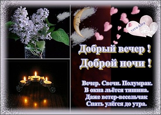 Открытка «Доброй ночи»: Добрый вечер и доброй ночи: стихи и нежная сирень. Тэги: Спокойной ночи, пожелание, надпись…