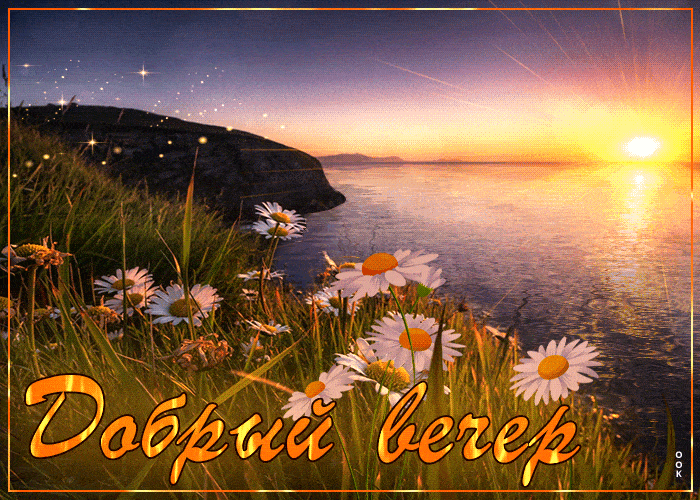 Открытка «Добрый вечер и пожелания»: Добрый вечер: Красивый закат и ромашки у моря. Тэги: Доброго летнего вечера…
