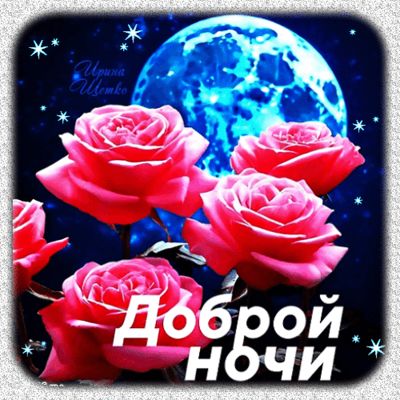 Открытка «Доброй ночи»: Доброй ночи: красивые розовые розы под луной. Тэги: Спокойной ночи, Спокойной ночи, красивые…