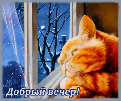 Открытка «Настроение»: Добрый вечер! Уютный рыжий кот у зимнего окна. Тэги: кот, рисунок, милый, животное, уют…