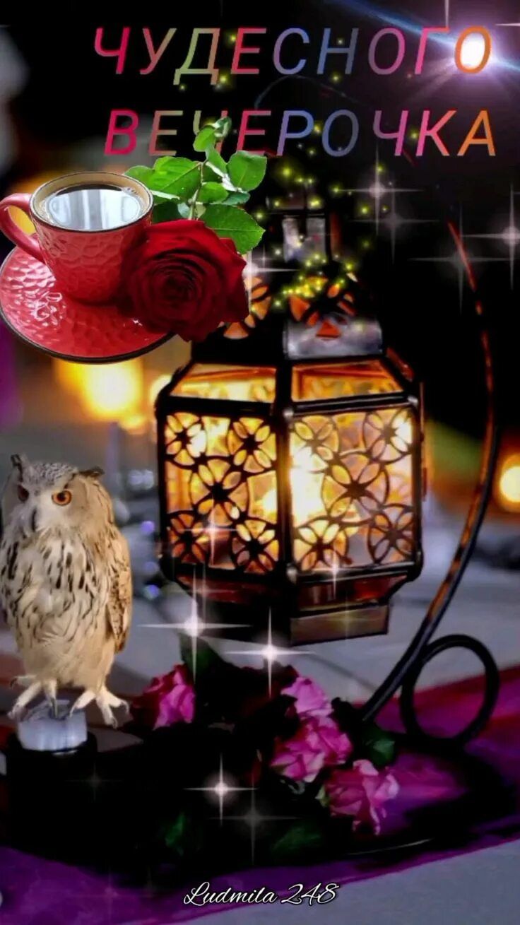 Открытка «Добрый вечер и пожелания»: Добрый вечер: «Чудесного вечерочка» с розой и совой. Тэги: Доброго вечера и хоро…