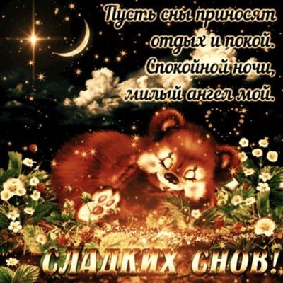 Открытка «Доброй ночи»: Спокойной ночи: «Милый медвежонок» и пожелание снов. Тэги: Спокойной ночи, Спокойной ночи…