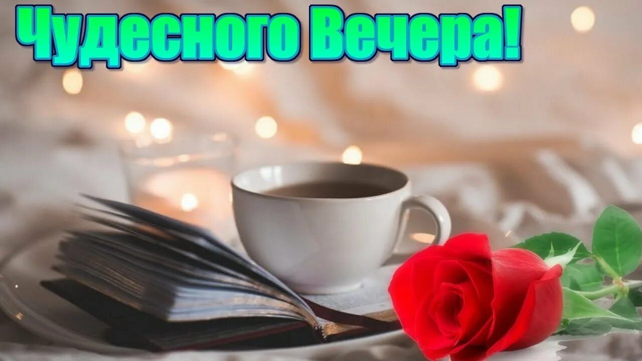 Открытка «Добрый вечер и пожелания»: Добрый вечер: «Чудесного Вечера!» с розой и чаем. Тэги: Доброго вечера и хорошег…