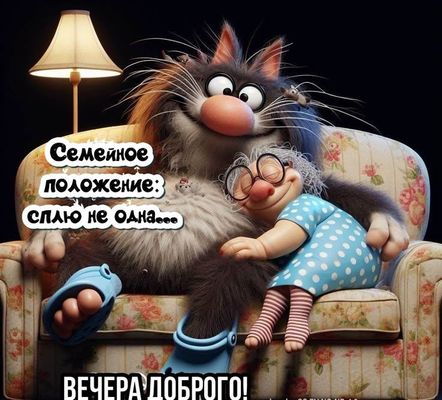 Открытка «Добрый вечер женщине»: Добрый вечер: прикольный кот и уютный отдых. Тэги: Прикольный добрый вечер, Доброго…