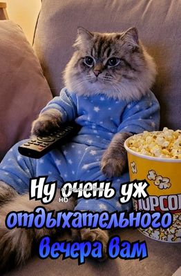Открытка «Классный»: Добрый вечер: пушистый кот и пожелание отдыха. Тэги: Добрый вечер и пожелания, Прикольный добрый…