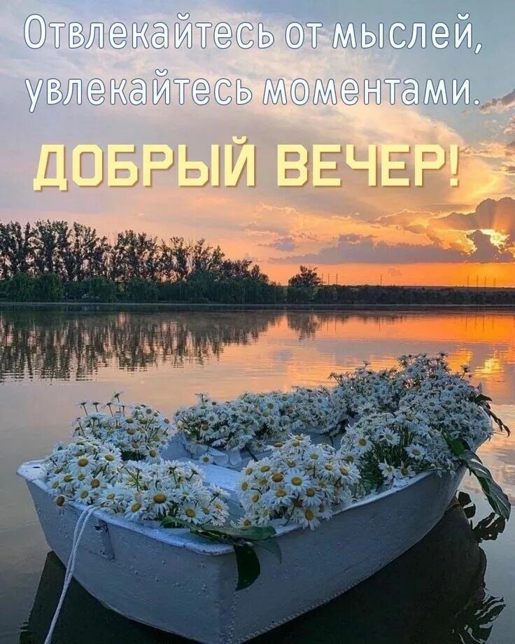 Открытка «Добрый вечер и пожелания»: Добрый вечер: Открытка с лодкой ромашек на закате. Тэги: Доброго летнего вечера…