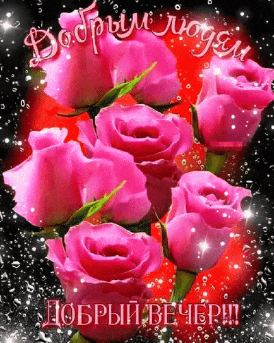 Открытка «Добрый вечер и пожелания»: Добрый вечер: «Букет ярко-розовых роз». Тэги: Добрый вечер женщине, Доброго вече…