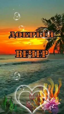 Открытка «Добрый вечер и пожелания»: Добрый вечер: тропический закат и романтика у моря. Тэги: Доброго летнего вечера…