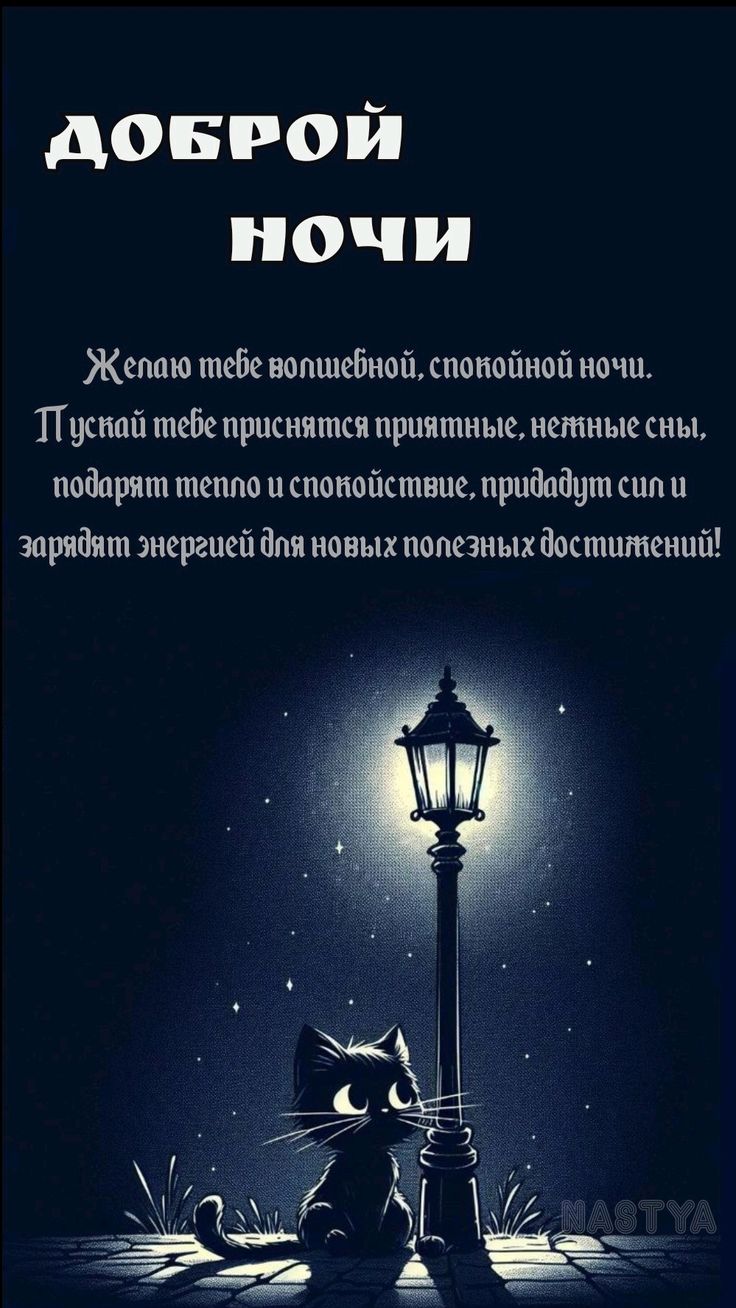 Открытка «Доброй ночи»: Доброй ночи: милый черный кот у фонаря. Тэги: Спокойной ночи, пожелание, кот, надпись, рисунок…