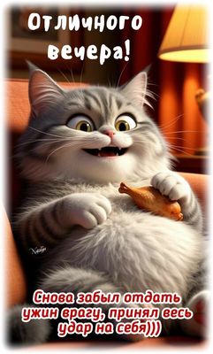 Открытка «Мужской»: Добрый вечер: «Смешной кот и вкусный ужин». Тэги: Добрый вечер и пожелания, Добрый вечер женщине…