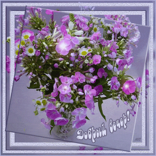 Открытка «Пожелание»: Добрый вечер! Красивый букет цветов для настроения. Тэги: настроение, радость, женщина, милый…