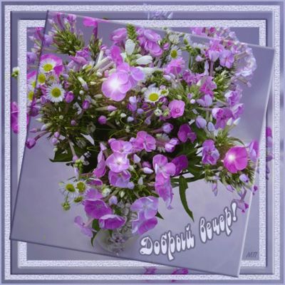 Открытка «Пожелание»: Добрый вечер! Красивый букет цветов для настроения. Тэги: настроение, радость, женщина, милый…