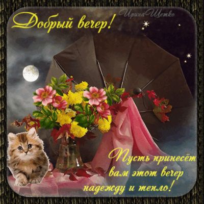 Открытка «Добрый вечер и пожелания»: Добрый вечер! Открытка с котенком и цветами. Тэги: Добрый вечер красивые, Доброг…