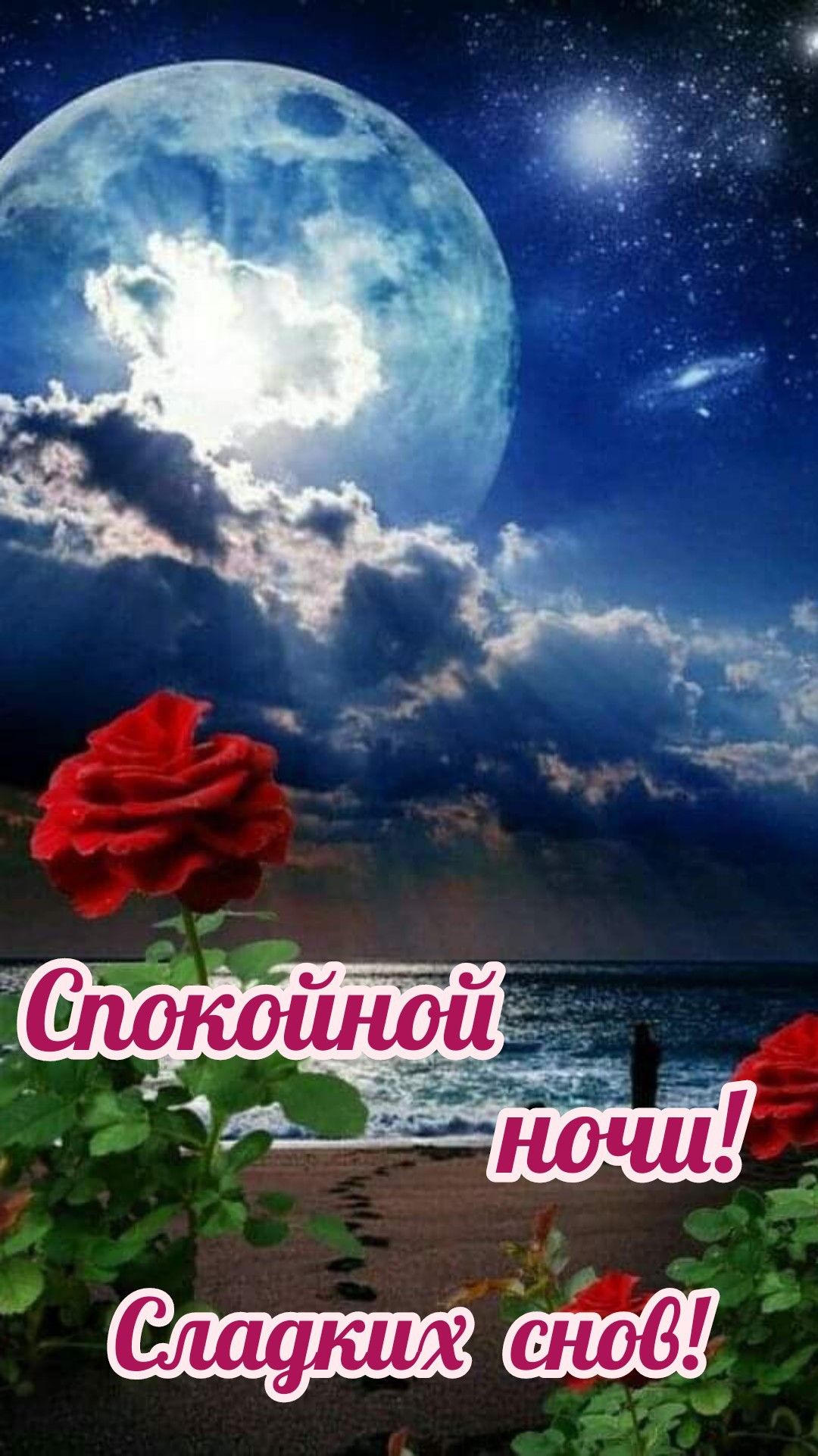 Открытка «Доброй ночи»: Спокойной ночи: яркая роза под лунным небом. Тэги: Спокойной ночи, пожелание, надпись, сказоч…