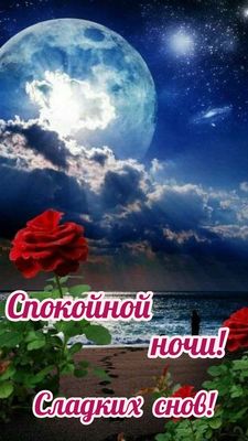 Открытка «Доброй ночи»: Спокойной ночи: яркая роза под лунным небом. Тэги: Спокойной ночи, пожелание, надпись, сказоч…