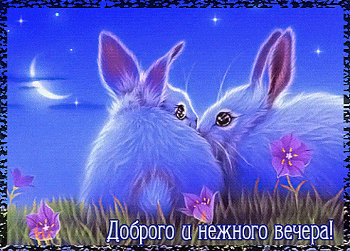 Открытка «Пожелание»: Добрый вечер: пушистые кролики под лунным небом. Тэги: настроение, рисунок, животное, хороший…