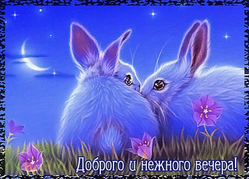 Открытка «Пожелание»: Добрый вечер: пушистые кролики под лунным небом. Тэги: настроение, рисунок, животное, хороший…