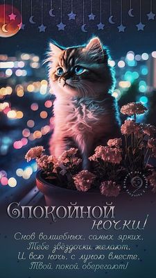 Открытка «Доброй ночи»: Спокойной ночи: Волшебных снов с милым котенком. Тэги: Спокойной ночи, Спокойной ночи, с поже…