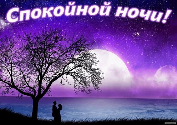 Открытка «Доброй ночи»: Спокойной ночи: Волшебная лунная ночь для двоих. Тэги: Спокойной ночи, Спокойной ночи, красив…