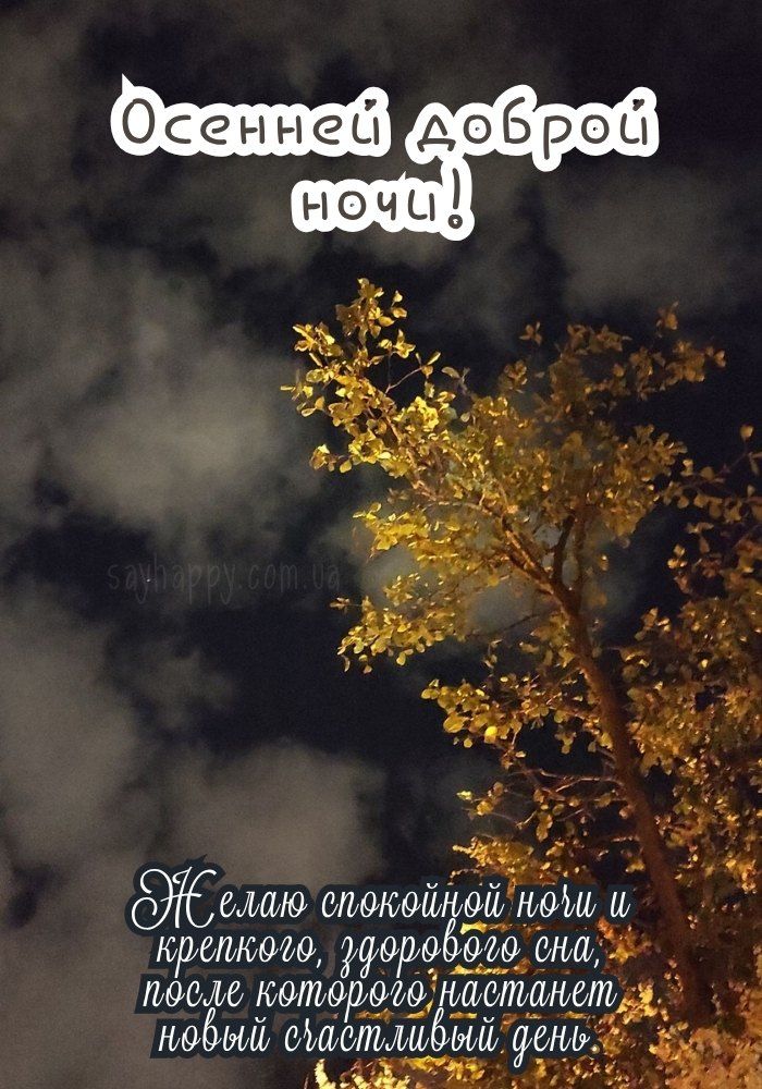 Открытка «Доброй ночи»: Спокойной ночи: Осенняя открытка с пожеланием сна. Тэги: Спокойной ночи, проза, Спокойной ночи…